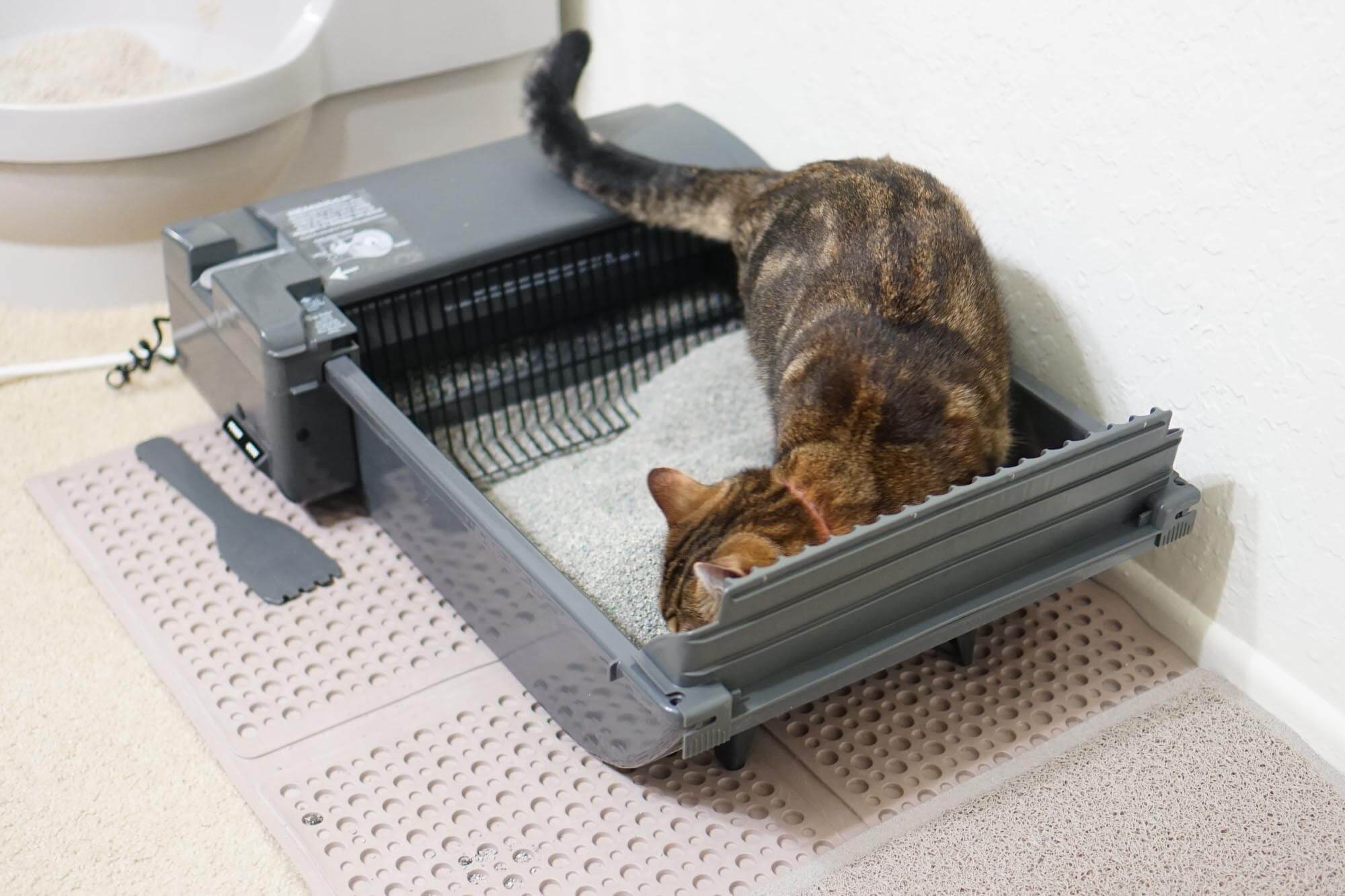 Cat Litter Shovel Self-cleaning Cat Litter Box Scoop Kitty Litter