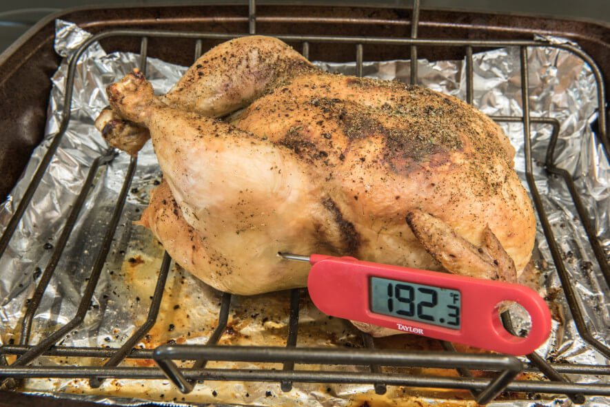 Check a Turkey's Temperature with a Meat Thermometer