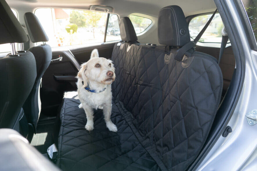 Premium Hammock Dog Car Seat Cover Back Seat, Dog Cover Car Seat Prote –  AutoMaximizer