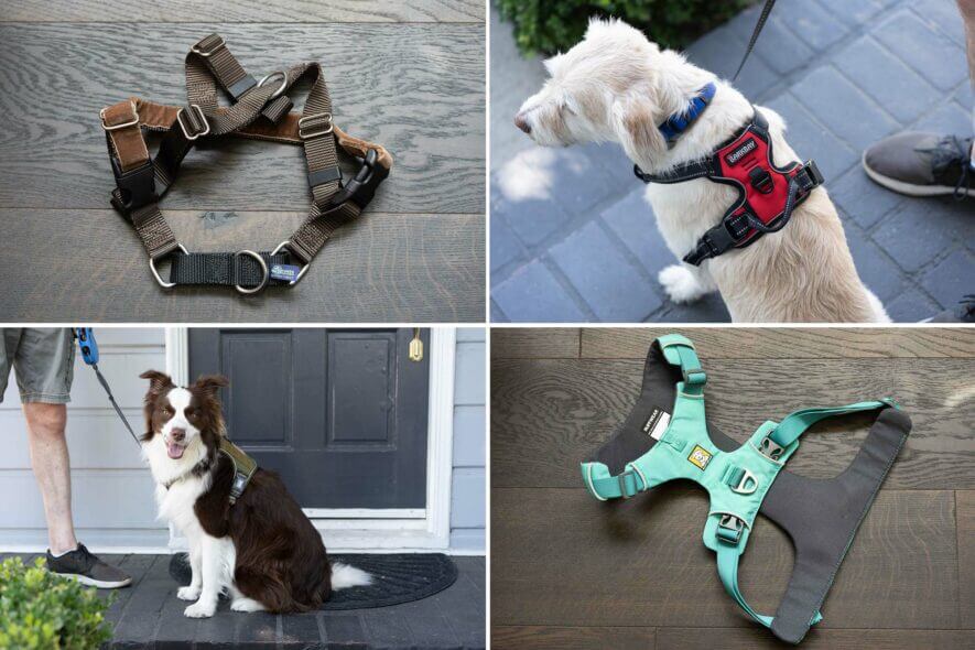 The 7 Best No-Pull Dog Harnesses of 2024 - Reviews by Your Best Digs