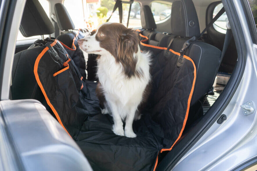 Anti Scratch Car Door Protector Car Door Covers For Dogs Dog Car Door  Protector For Pet Travel Waterproof Durable Oxford Guard. - AliExpress