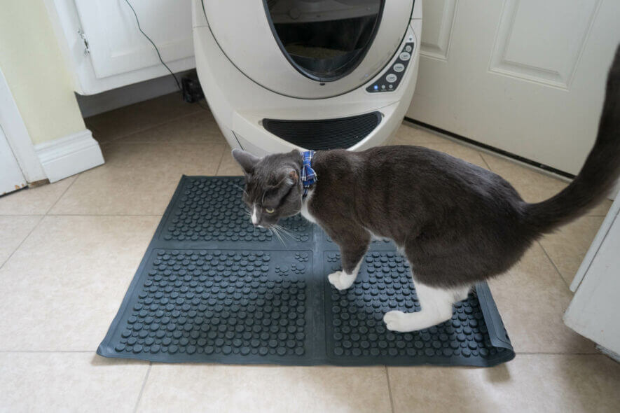 The 5 Best Cat Litter Mat Choices To Reduce Litter Tracking