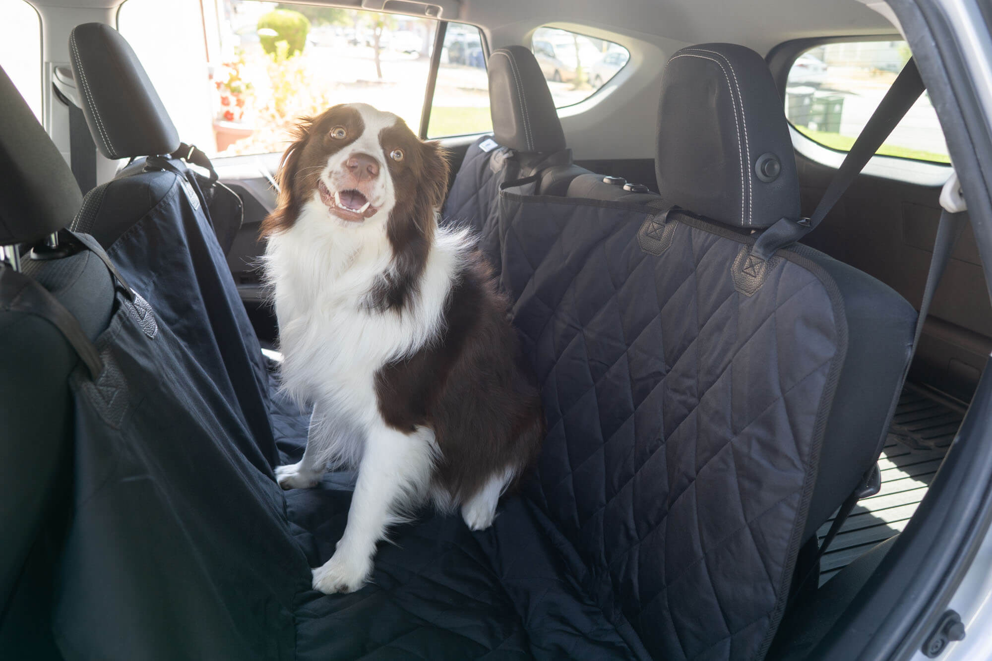 Dog Car Seat Cover Waterproof Foldable Pet Dog Travel Mat Mesh Dog Carrier  Car Hammock Cushion Protector With Zipper and Pocket - AliExpress