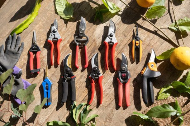The Best Garden Products of 2024 - Reviews by Your Best Digs