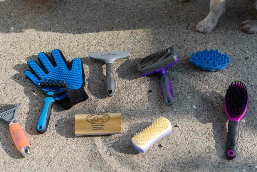 The 11 Best Dog Brushes of 2024, Tested and Reviewed